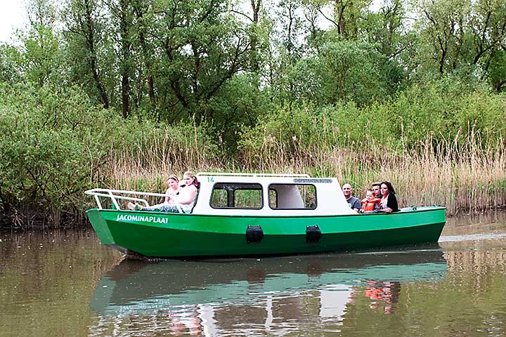 10x de Leukste Activiteiten van de Biesbosch